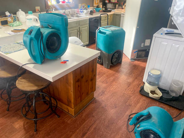 Best Commercial water damage restoration  in Westminster, CA