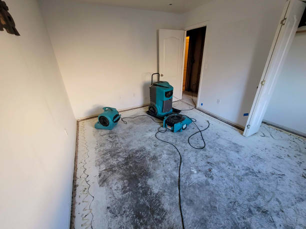 Best Fire Damage Restoration  in Westminster, CA
